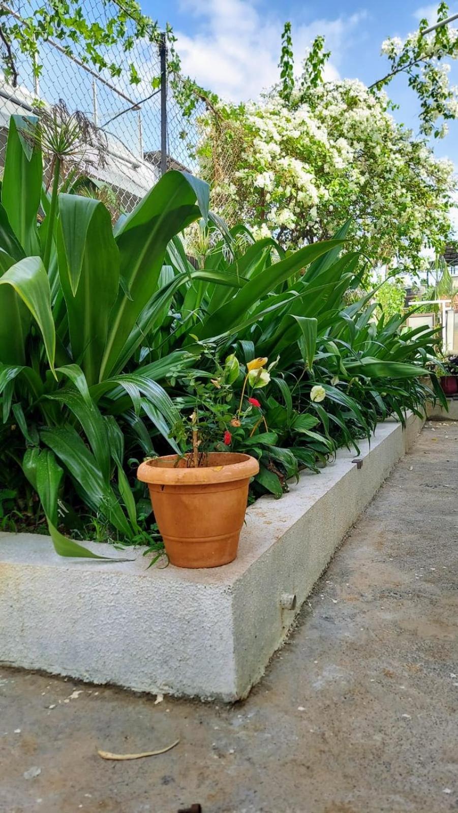 Lonavala Francis Villa Exclusive 4-Bedroom Family Retreat With Pool מראה חיצוני תמונה